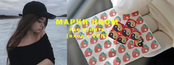 твердый Няндома