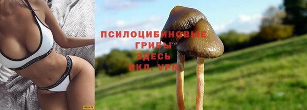мяу мяу кристалл Нягань