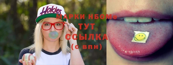 твердый Няндома