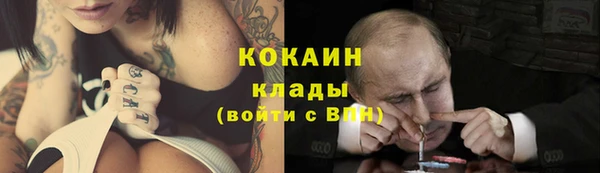 твердый Няндома