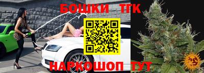 индика Ипатово